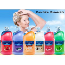 Pangea Shampo 4x4 litre